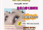 眼睫毛美容宣傳廣告，特價資訊。