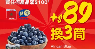 優惠藍莓銷售廣告